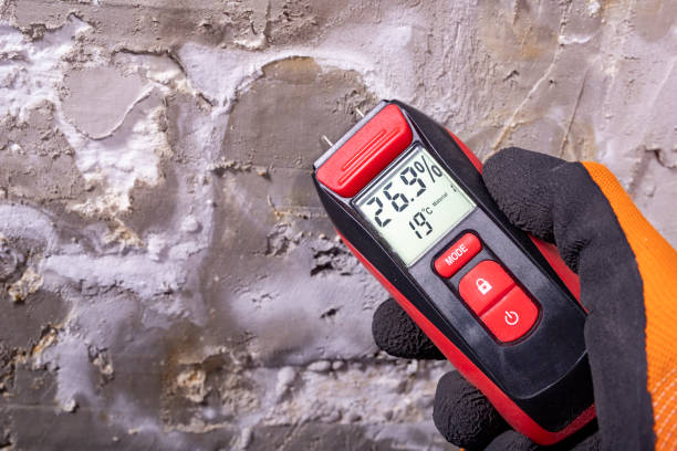 Best Localized Mold Remediation (e.g., coastal areas, humid climates) in The Hills, NJ